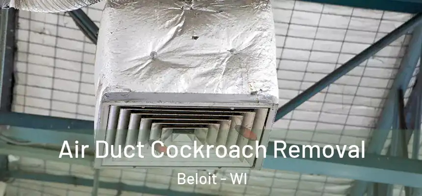  Air Duct Cockroach Removal Beloit - WI