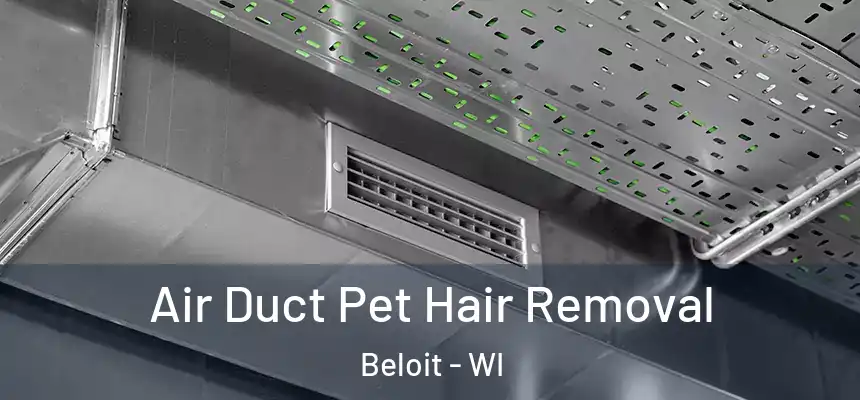 Air Duct Pet Hair Removal Beloit - WI