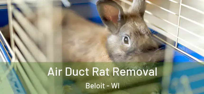  Air Duct Rat Removal Beloit - WI