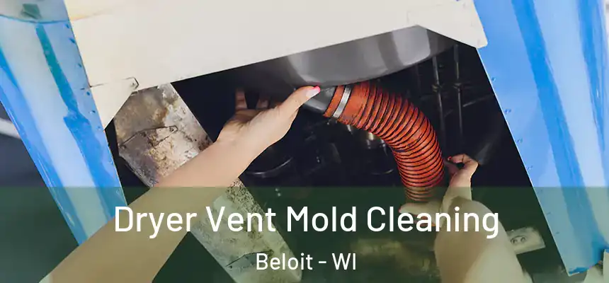 Dryer Vent Mold Cleaning Beloit - WI