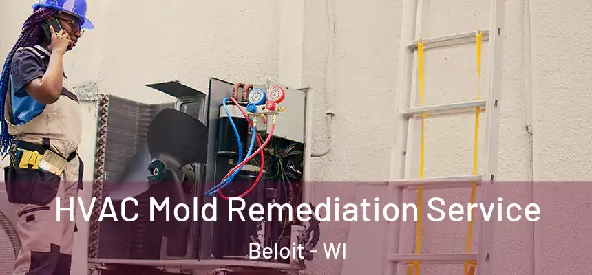  HVAC Mold Remediation Service Beloit - WI