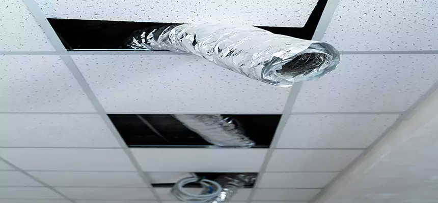 Our Air Duct Pet Hair Removal Services in Beloit, WI