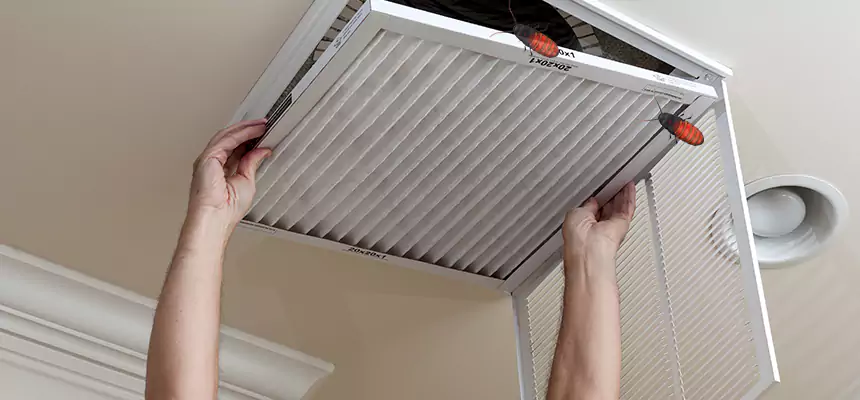 Our Insect Removal from Air Ducts Services in Beloit, WI