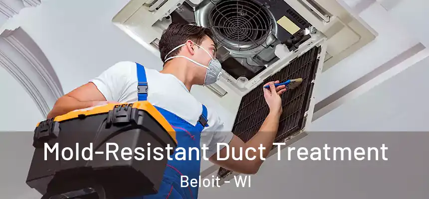 Mold-Resistant Duct Treatment Beloit - WI