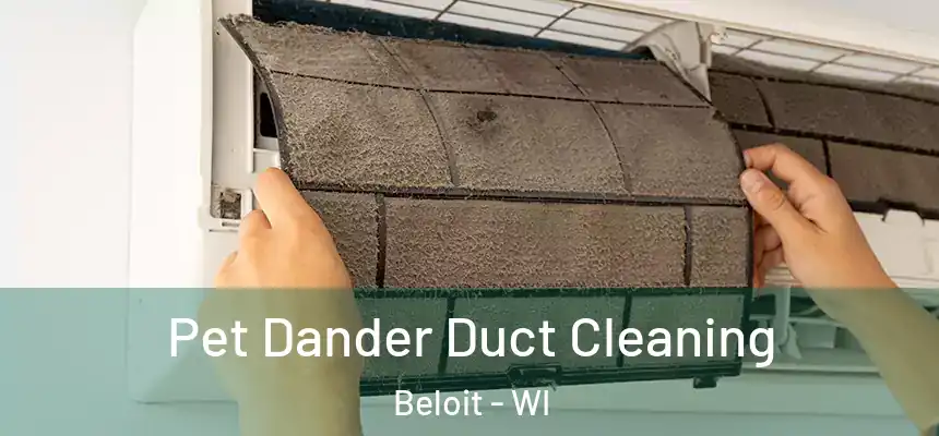 Pet Dander Duct Cleaning Beloit - WI