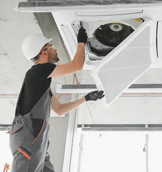 About Air Duct Rodent Removal in Beloit, WI