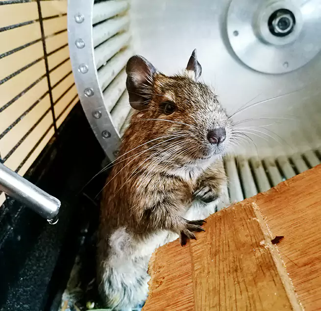 Why Homeowners & Businesses Trust Us Beloit, WI