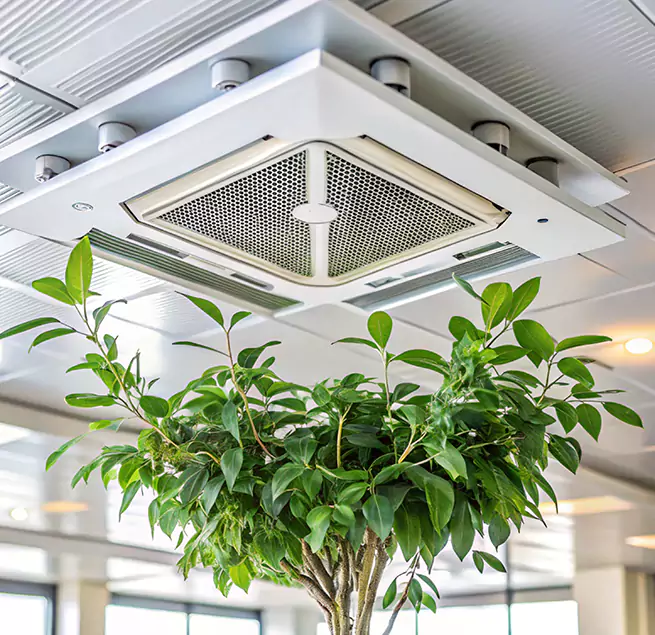 Why Homeowners & Businesses Trust Us in Beloit, WI