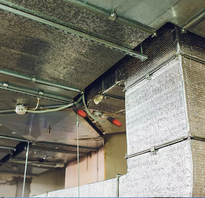 Why Homeowners & Businesses Trust Us Beloit, WI?